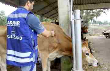  Adapar mantém vigilância e reforça importância da vacinação contra raiva no campo